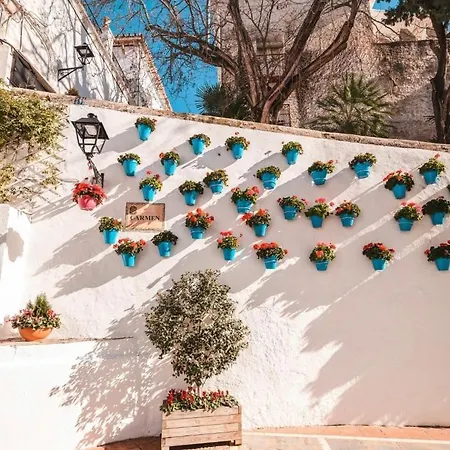 Apartamento Plaza De Naranjos